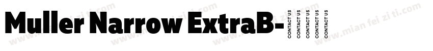 Muller Narrow ExtraB字体转换